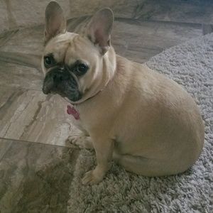 Meet your Posher, Tanja